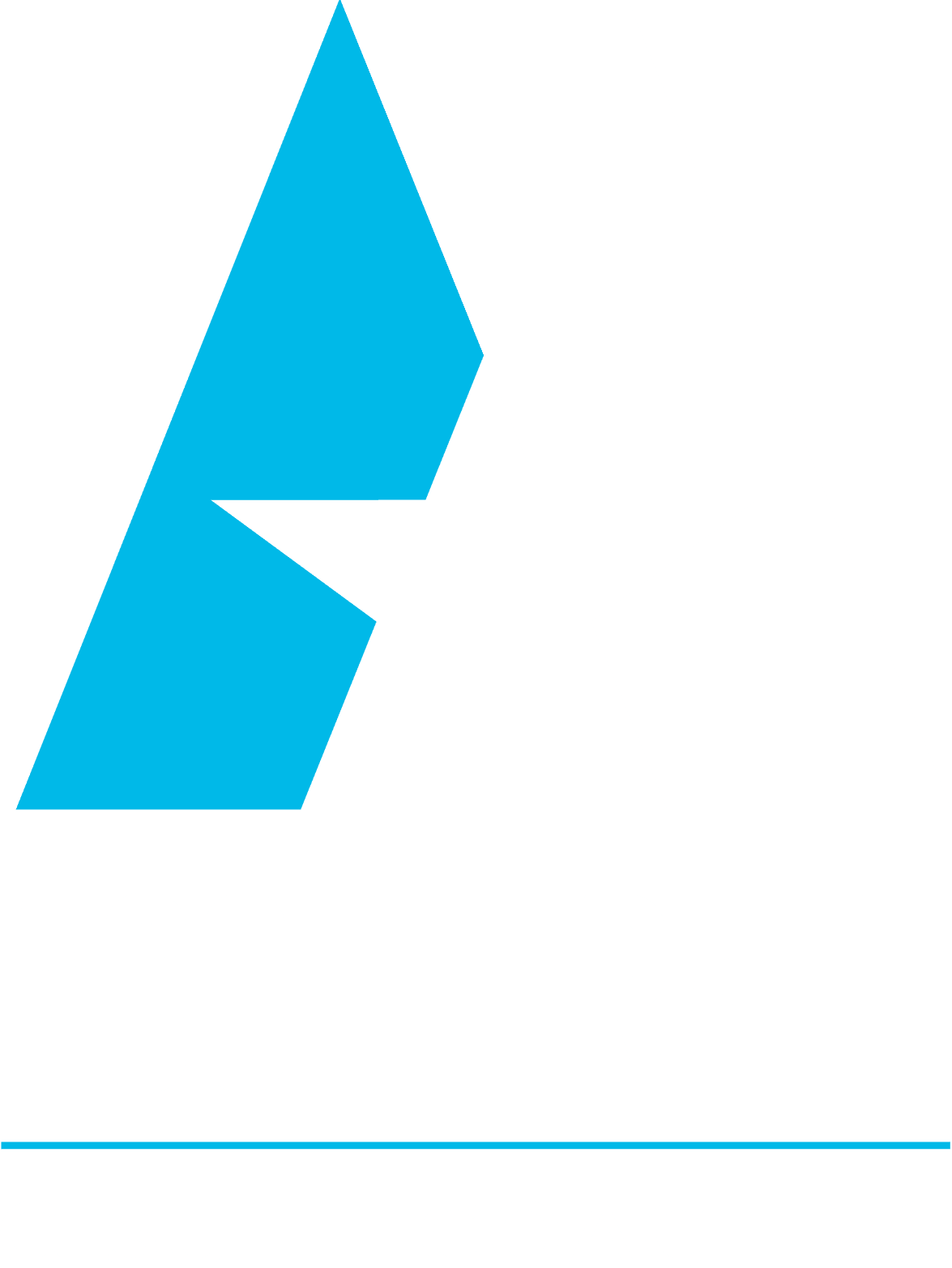 Accelerate C-Suite Coaching Logo